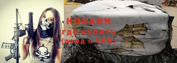 индика Аркадак