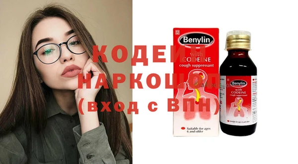 индика Аркадак