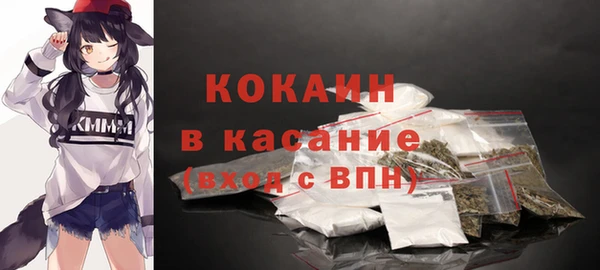 индика Аркадак