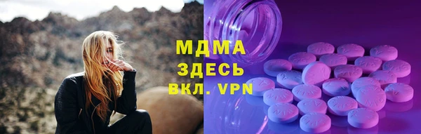 индика Аркадак