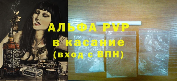 индика Аркадак