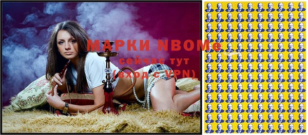 индика Аркадак